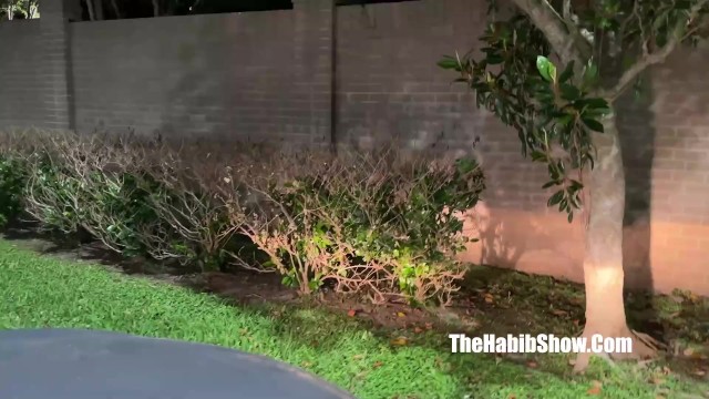 Unapproachable milady's amateur clip