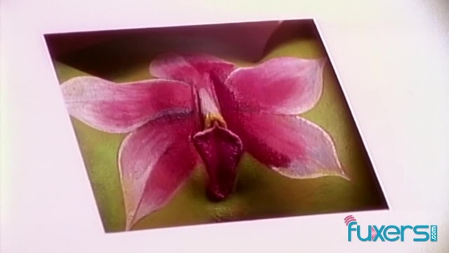 Good-looking mademoiselle's babe dirt