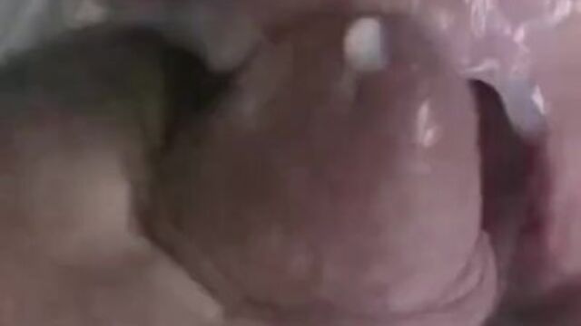 Wicked Sexy Melanie - milf smut