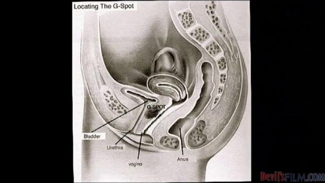 Young (18+) smut with fetching Lindsay Meadows from Devil's Film