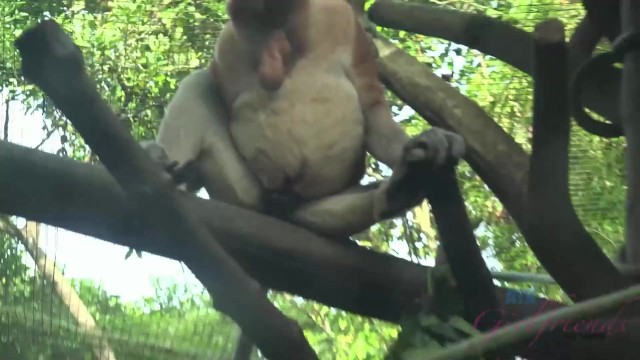 Inviting Jamie's hd trailer