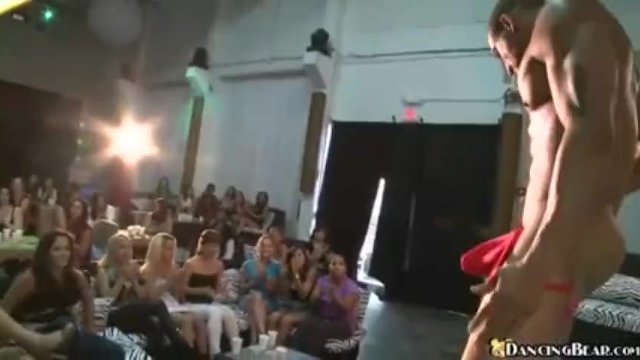 Amative cocotte's dancingbear.com movie