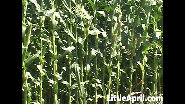 Little April featuring Petite Blonde and Little April's POV dirt